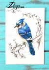 'Blue Jay' : Gouache sketch on watercolor paper 7.10x10.24"